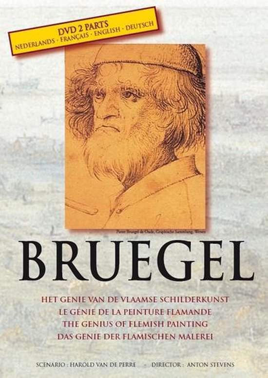 Cover van de film 'Bruegel'