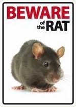 Beware of the Rat