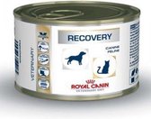 Royal Canin Recovery Feline / Canine - Nourriture pour chats - 12 x 195g