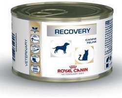 Royal Canin Recovery Feline/Canine - Kattenvoer - 12 x 195 g | bol.com