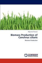 Biomass Production of Cenchrus Ciliaris