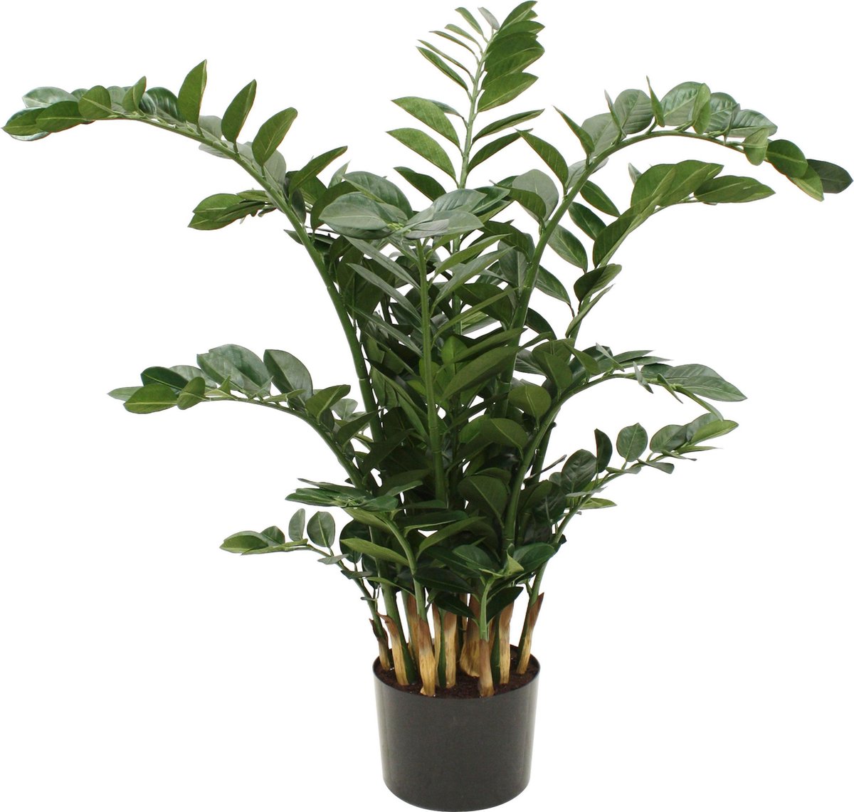 Designplants Zamioculcas Kunstplant