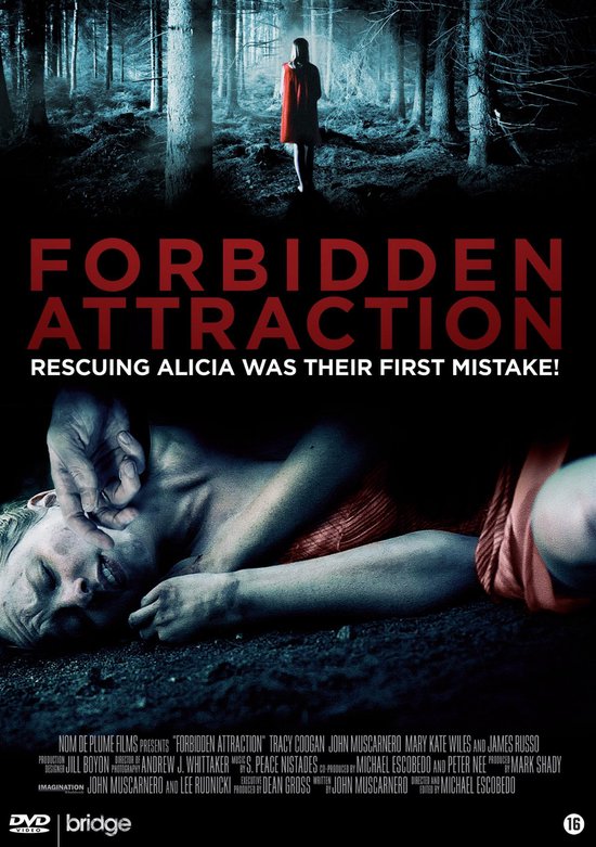 Cover van de film 'Forbidden Attraction'