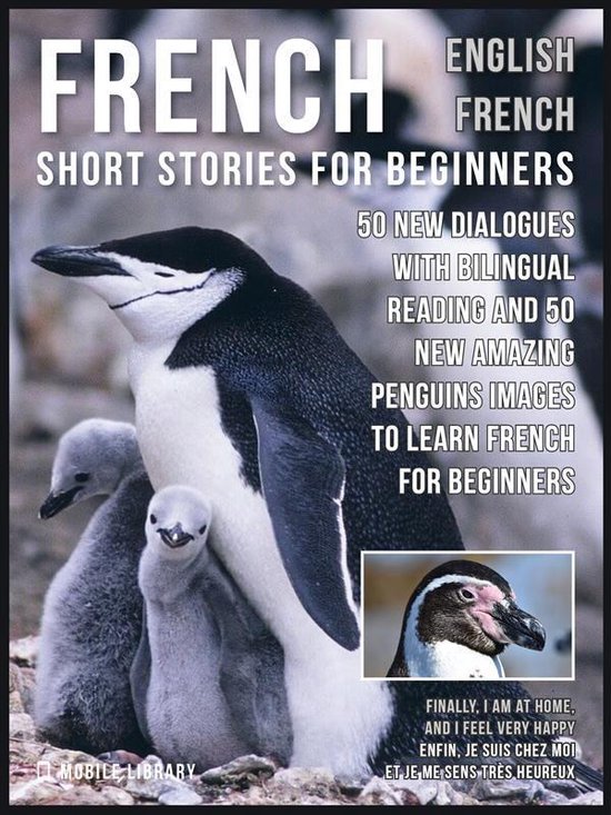Learn French For Beginners 12 - French Short Stories for Beginners - English French
