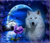 Diamond Painting wolf in de nacht