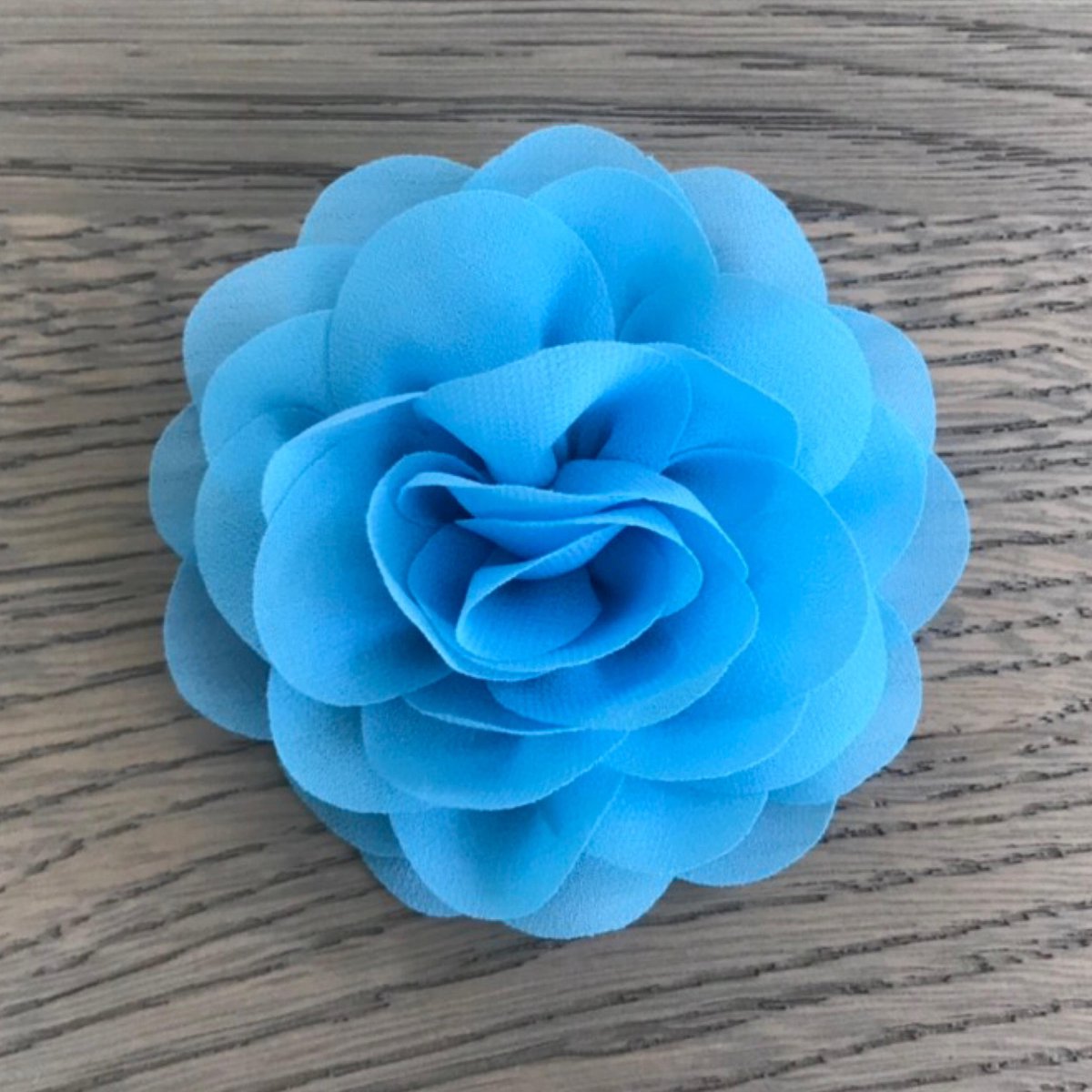 Leuke bloem (roos) op Clip - Helder Blauw