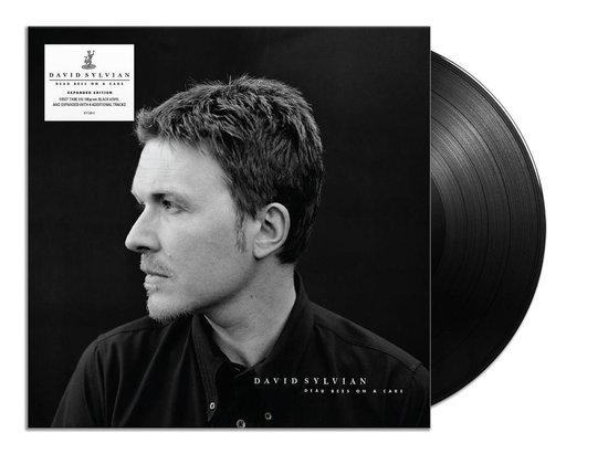 洋楽 David Sylvian Dead Bees on a cake 2LP Dead Bees On A Cake (RSD 2LP White Vinyl) - David Sylvian
