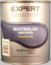 Expert (Sikkens) Buitenlak Grachtengroen Halfglans - 5 x 0,75 Liter