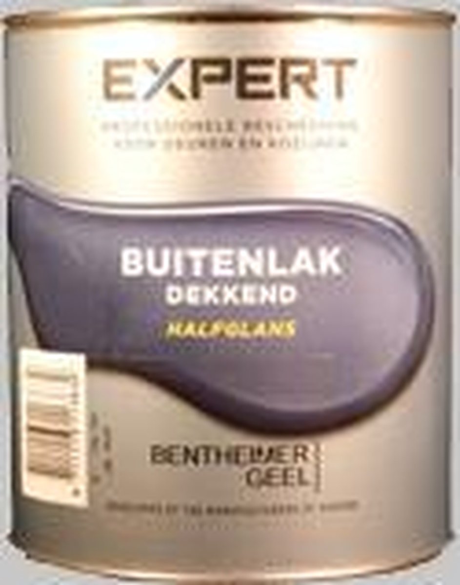 Expert (Sikkens) Buitenlak Grachtengroen Halfglans -  0,75 Liter