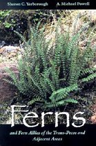 Ferns and Fern Allies of the Trans-Pecos and Adjacent Areas