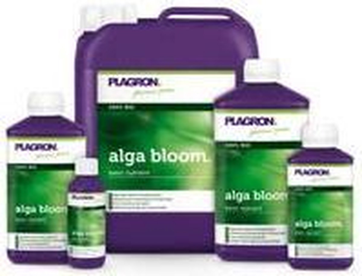 ALGA BLOOM 250 ML