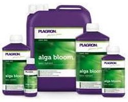 ALGA BLOOM 250 ML