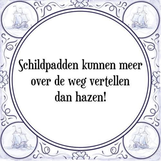 Tegeltje met Spreuk (Tegeltjeswijsheid): Schildpadden kunnen meer over de weg vertellen dan hazen! + Kado verpakking & Plakhanger