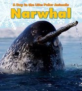 Narwhal (A Day in the Life