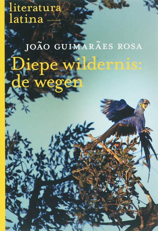 Diepe wildernis: de wegen - João Guimarães Rosa | Nextbestfoodprocessors.com