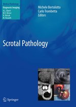 Medical Radiology - Scrotal Pathology