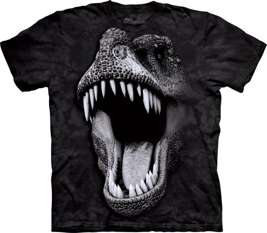 Dinosaurus kleding - T-shirt - Big Face Glow Rex - maat 116