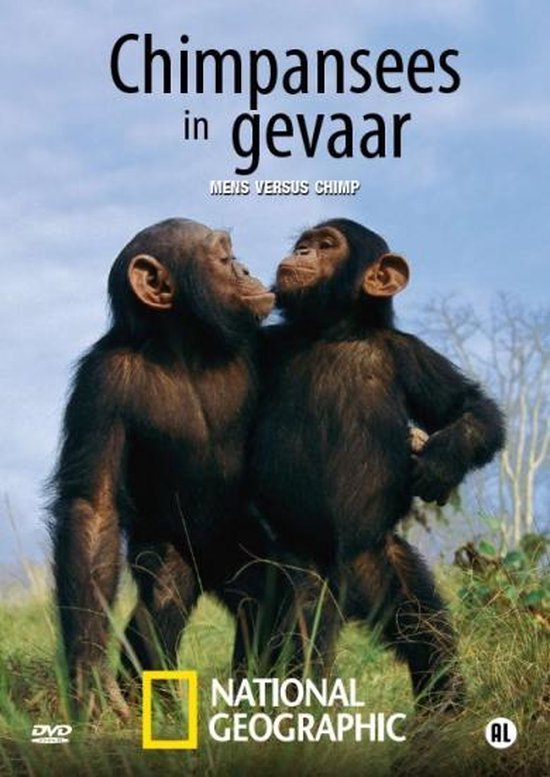 Chimpansees In Gevaar