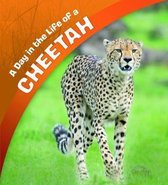 A Day in the Life of a Cheetah