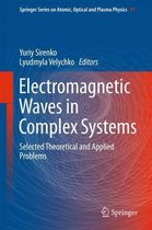 Electromagnetic Waves in Complex Systems