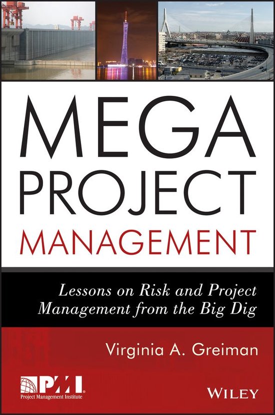 Megaproject Management - cover