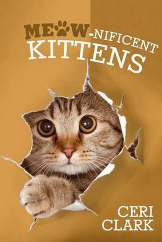 Disguised Password Book- Meow-nificent Kittens - cover