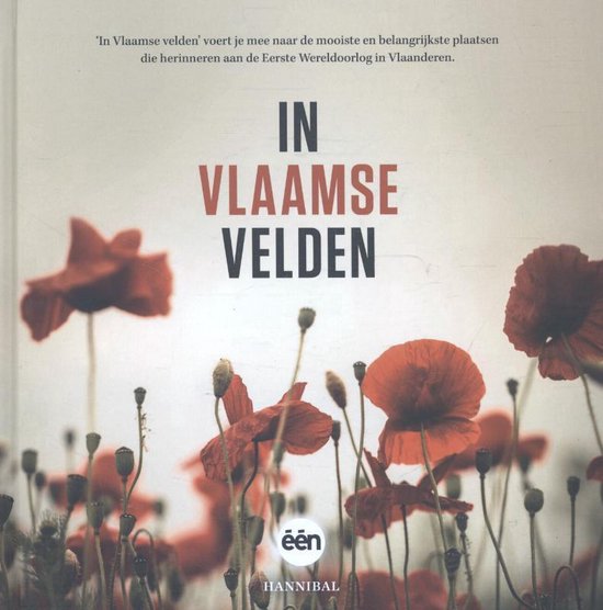 Cover van het boek 'In Vlaamse velden' van Sophie Allegaert