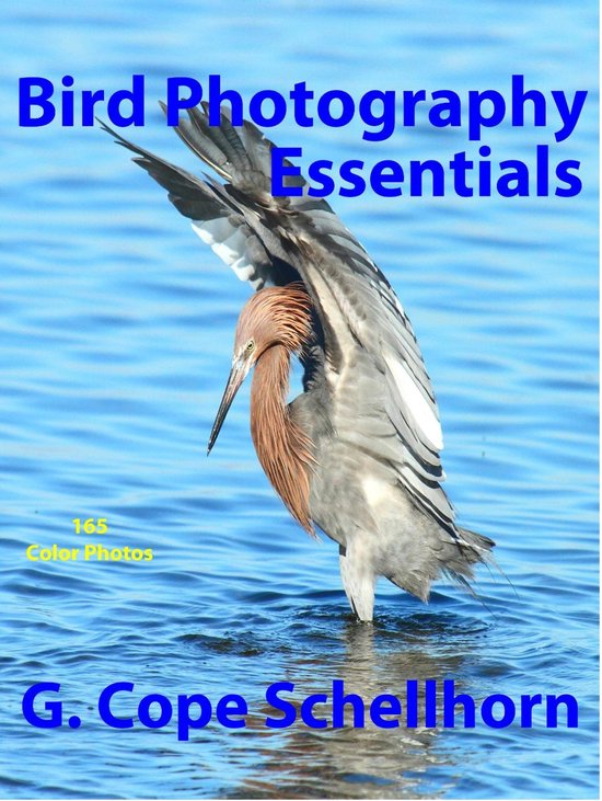 Bird Photography Essentials - cover