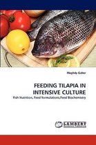 Feeding Tilapia in Intensive Culture