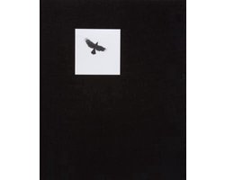 Pajaros Graciela Iturbide