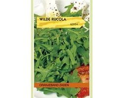 Wilde Rucola Diplotaxis