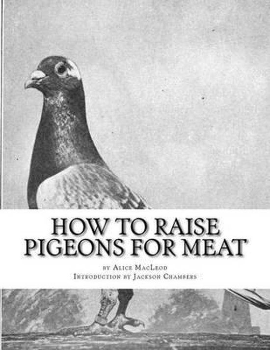 Raising Pigeons for Squabs- How To Raise Pigeons For Meat - cover