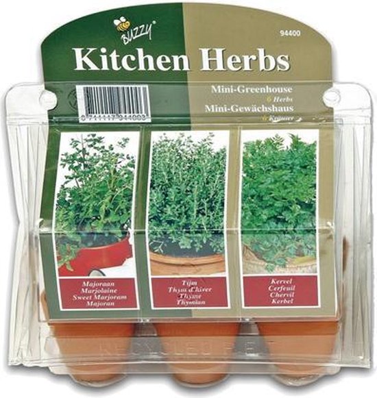 Buzzy Kitchen Herbs Kweekset