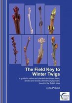 The Field Key to Winter Twigs