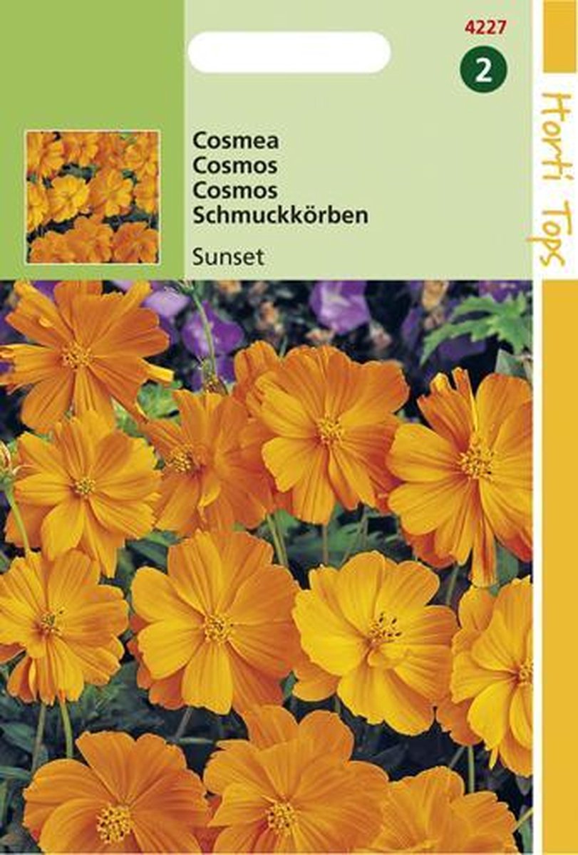 Hortitops Seeds - Cosmos Sulphureus Sunset Orange-Rouge | bol.com