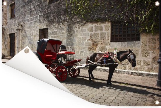 Cheval et calèche dans une rue de Saint-Domingue en République Dominicaine Affiche de jardin 90x60 cm - Toile de jardin / Toile d'extérieur / Peintures d'extérieur (décoration de jardin)
