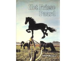 FRIESE PAARD