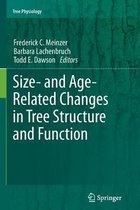 Size- and Age-Related Changes in Tree Structure and Function