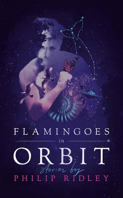 Flamingoes in Orbit - cover
