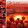 Wellness - Harmonie Der Sonne