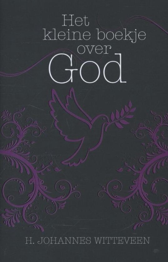 Het kleine boekje over God - H. Johannes Witteveen | Northernlights300.org