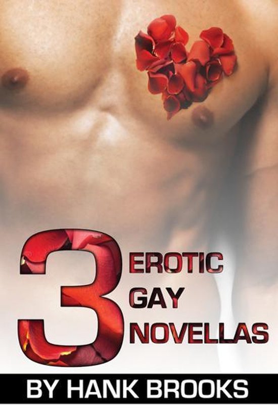 3 Erotic Gay Novellas - cover