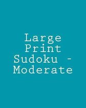Large Print Sudoku - Moderate