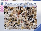 Ravensburger puzzel Hondencollage - Legpuzzel - 1000 stukjes