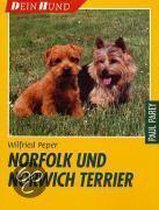 Norfolk und Norwich Terrier
