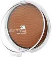 2B Powder Maxi Terra Chrome 02