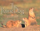 The Prairie Dog