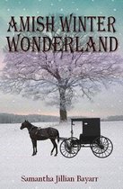 Amish Winter Wonderland