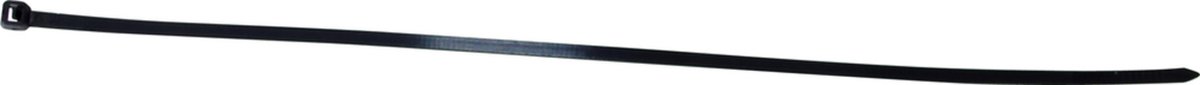 Hendrik Jan ty-raps 300 mm
