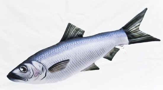 Kussen vis - Haring - Meerkleurig - Vismodel kussen - Groot formaat - Sierkussen - 58 cm
